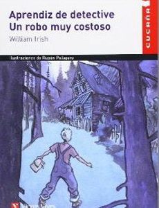 Aprendiz De Detective Un Robo Muy Costoso