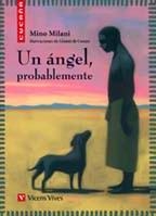 Un Angel Probablemente