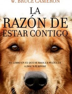 La Razon De Estar Contigo #1