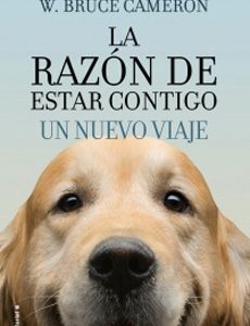 La Razón De Estar Contigo. Un Nuevo Viaje #2