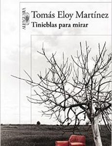 Tinieblas Para Mirar