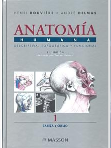 Anatomia Humana Rouviere Tomo 1 Cabeza Y Cuello 11º Edicion