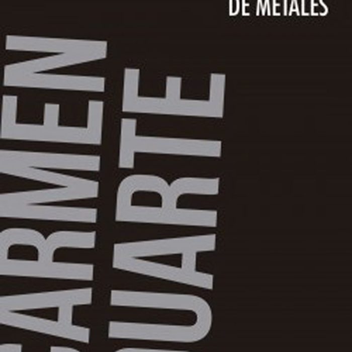 detector_de_metales.jpg