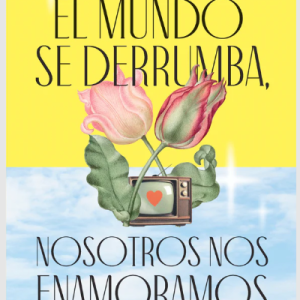 El Mundo Se Derrumba, Nosotros Nos Enamoramos