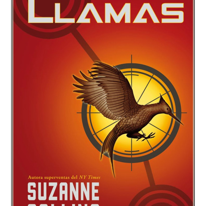 en_llamas2.png en_llamas2.png