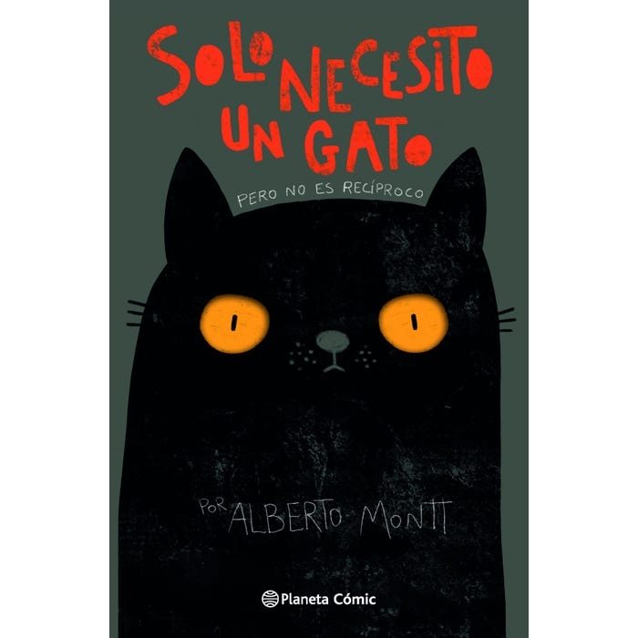 gato.jpg