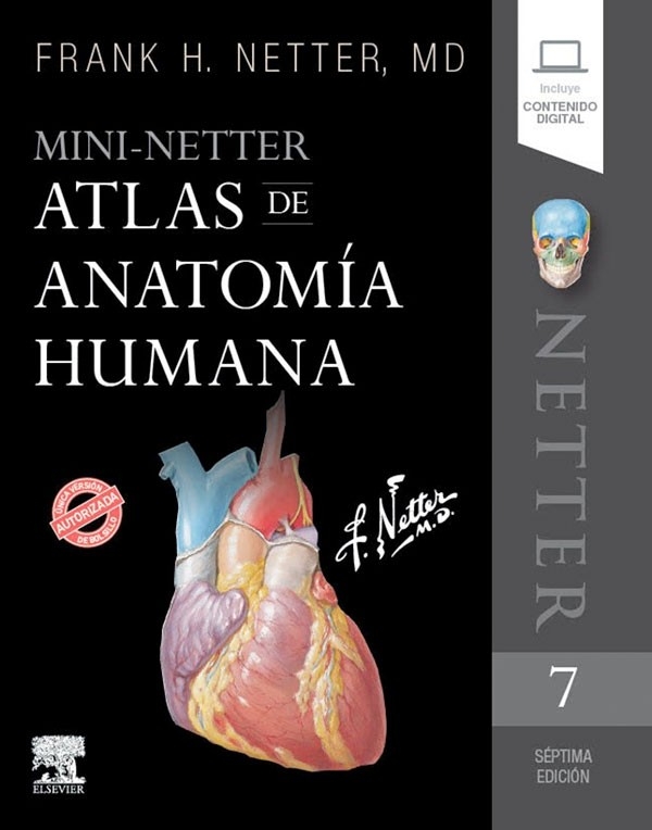 mini-netter-atlas-de-anatomia-humana-7-ed.jpg mini-netter-atlas-de-anatomia-humana-7-ed.jpg